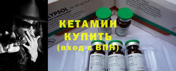 трава Аркадак