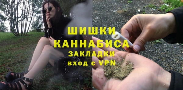 трава Аркадак