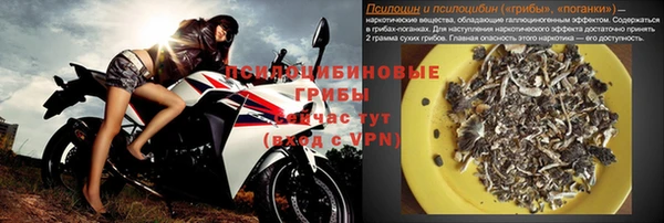 трава Аркадак