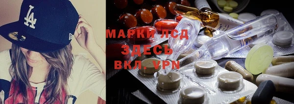трава Аркадак