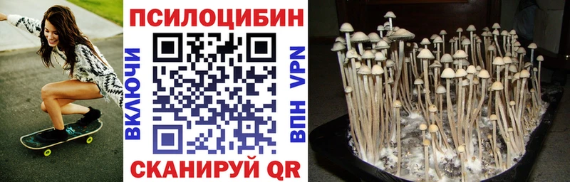 Галлюциногенные грибы Psilocybe  Михайловка 